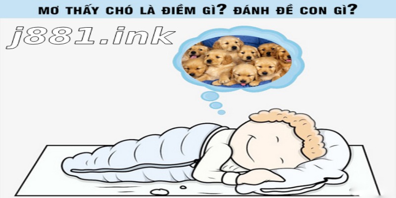 Giải mã giấc mơ J88